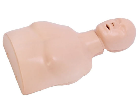 半身心肺复苏训练模拟人QY-CPR167(图1) 半身心肺复苏训练模拟人QY-CPR167