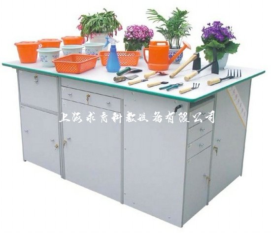劳技室设备QY-LJSY02(图11) 中学劳技实验台